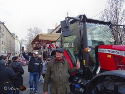 Simmeringer Faschingsumzug 2025